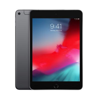 iPad mini Wi-Fi + Cellular 256GB - Space Grey