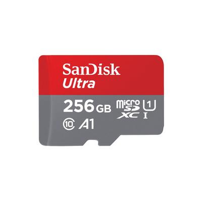 SanDisk Ultra microSDXC 256GB C10