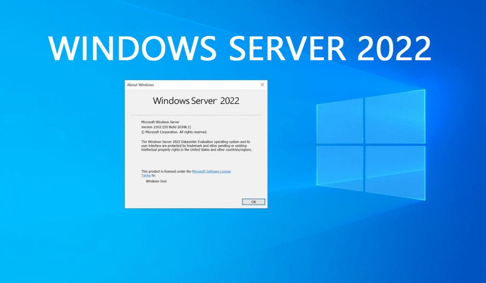 Microsoft Windows Server Standart 2022 Esd Dijital Lisans Satın Al En Ucuz Microsoft Windows 9004